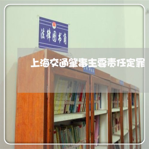 上海交通肇事主要责任定罪/2023033173958 上海交通肇事主要责任定罪/2023033173958