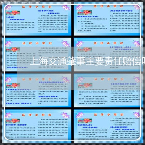 上海交通肇事主要责任赔偿吗/2023033198259 上海交通肇事主要责任赔偿吗/2023033198259