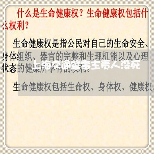 上海交通肇事主责人没死/2023022872814 上海交通肇事主责人没死/2023022872814