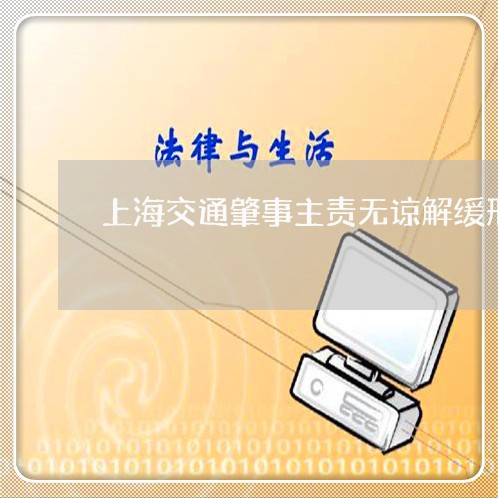 上海交通肇事主责无谅解缓刑/2023033153613
