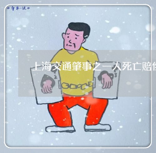上海交通肇事之一人死亡赔偿/2023033117159