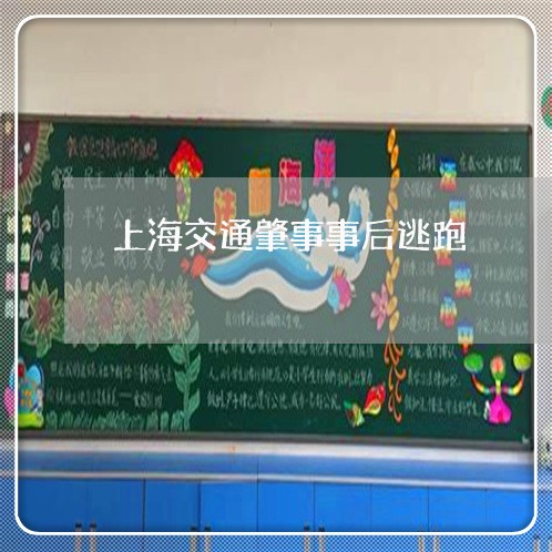 上海交通肇事事后逃跑/2023021282746 上海交通肇事事后逃跑/2023021282746