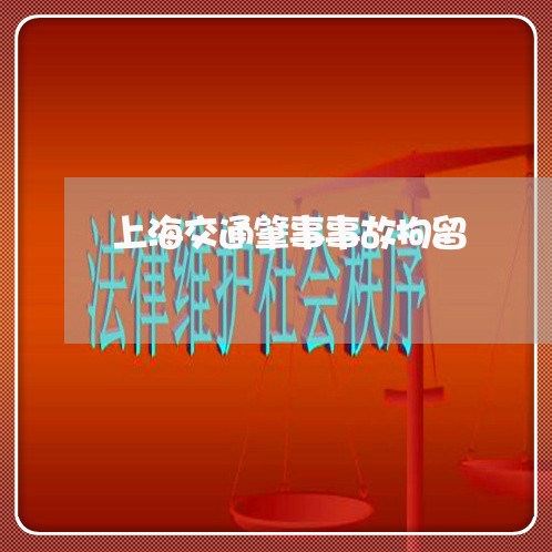 上海交通肇事事故拘留/2023021272706 上海交通肇事事故拘留/2023021272706