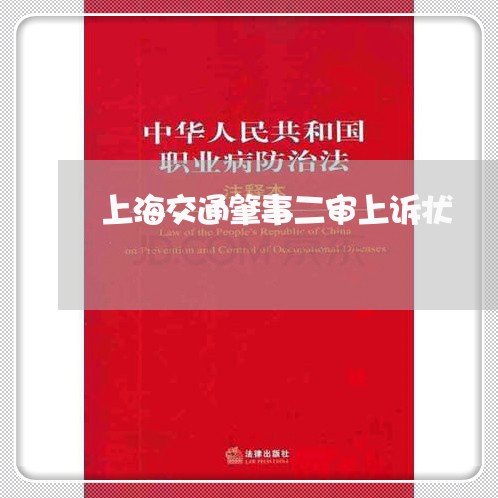 上海交通肇事二审上诉状/2023022868504