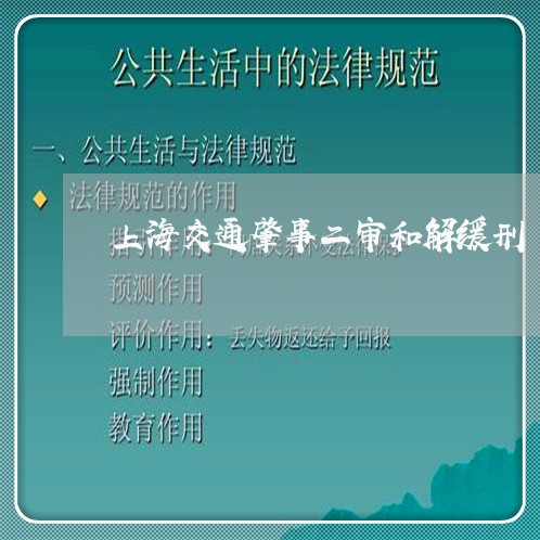 上海交通肇事二审和解缓刑/2023031952703