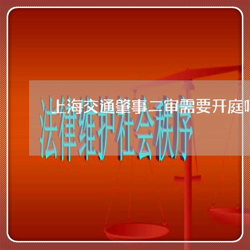 上海交通肇事二审需要开庭吗/2023033113138