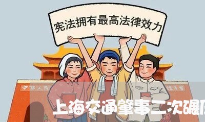 上海交通肇事二次碾压南京市/2023033182702