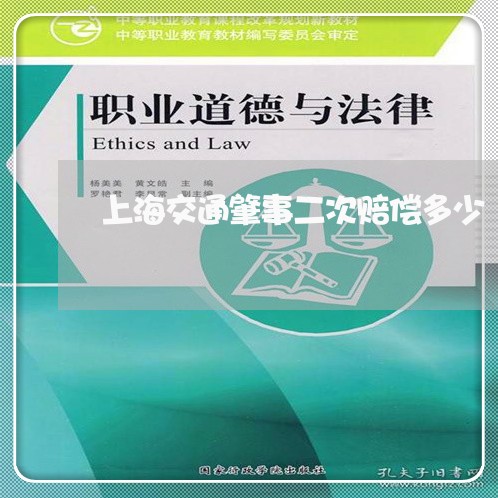 上海交通肇事二次赔偿多少/2023031938471