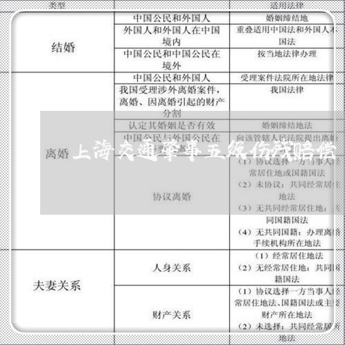 上海交通肇事五级伤残赔偿/2023031971695 上海交通肇事五级伤残赔偿/2023031971695