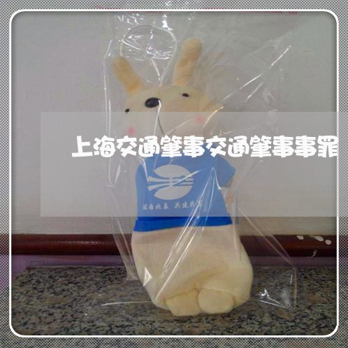 上海交通肇事交通肇事事罪/2023031890595 上海交通肇事交通肇事事罪/2023031890595