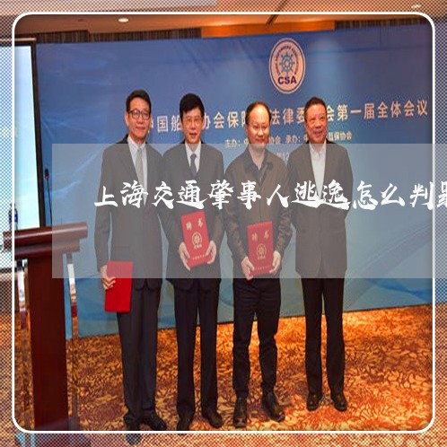 上海交通肇事人逃逸怎么判罪/2023033130795