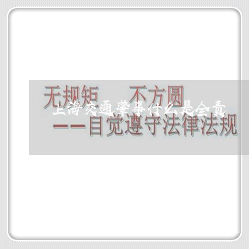 上海交通肇事什么是全责/2023022836492