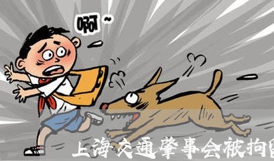 上海交通肇事会被拘留几天/2023031839271 上海交通肇事会被拘留几天/2023031839271