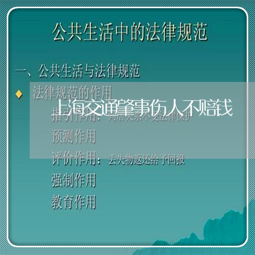 上海交通肇事伤人不赔钱/2023042295046