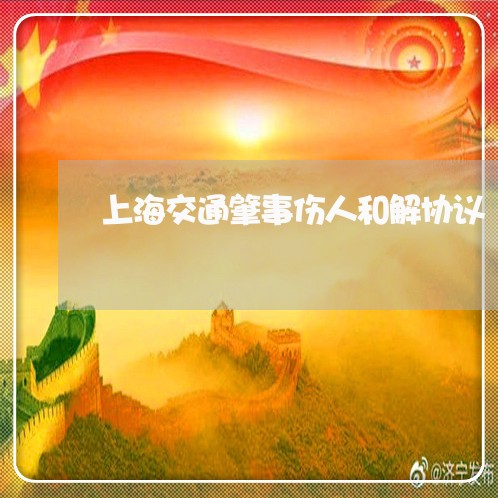 上海交通肇事伤人和解协议/2023033191837 上海交通肇事伤人和解协议/2023033191837