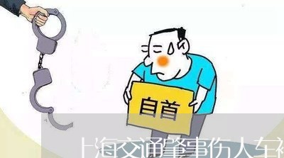 上海交通肇事伤人车被拖走/2023031893694