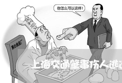 上海交通肇事伤人逃逸自首/2023031826150 上海交通肇事伤人逃逸自首/2023031826150