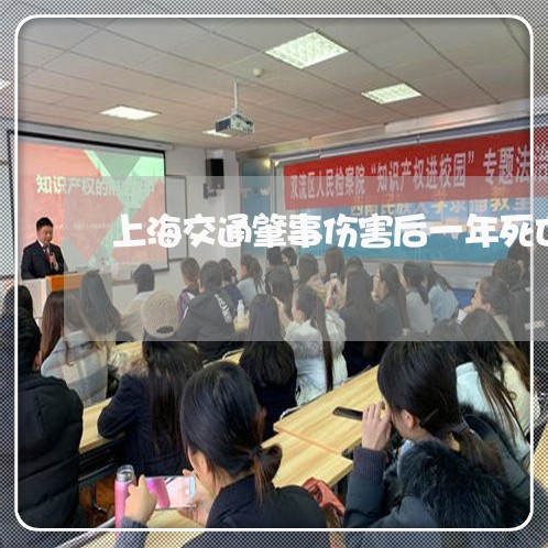 上海交通肇事伤害后一年死亡/2023033151604 上海交通肇事伤害后一年死亡/2023033151604