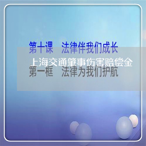 上海交通肇事伤害赔偿金/2023042293805