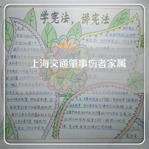 上海交通肇事伤者家属/2023021326270 上海交通肇事伤者家属/2023021326270
