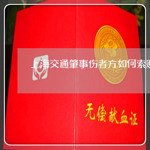 上海交通肇事伤者方如何索赔/2023033128152 上海交通肇事伤者方如何索赔/2023033128152
