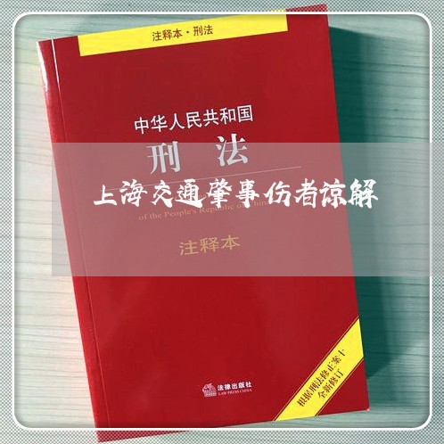 上海交通肇事伤者谅解/2023021216259 上海交通肇事伤者谅解/2023021216259