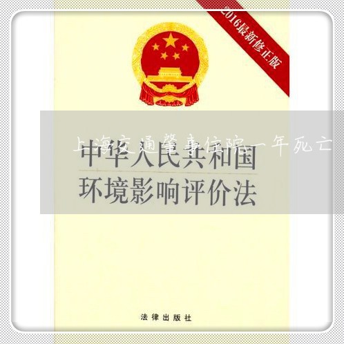 上海交通肇事住院一年死亡/2023040170614