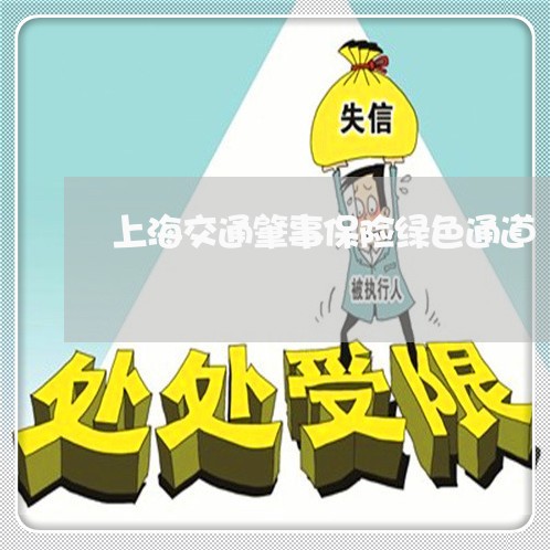 上海交通肇事保险绿色通道/2023031873714