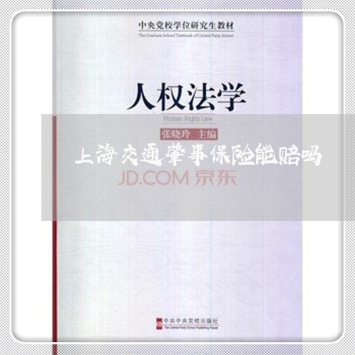 上海交通肇事保险能赔吗/2023022894836