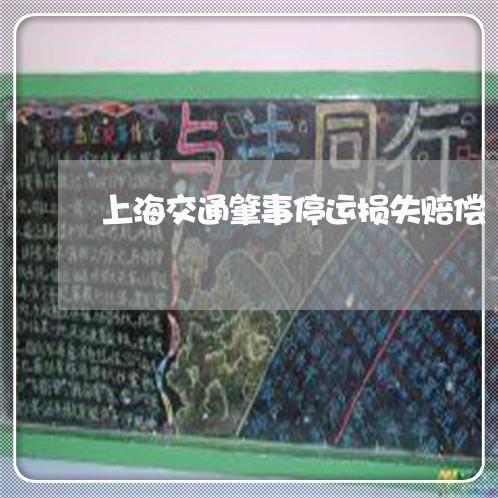 上海交通肇事停运损失赔偿/2023031816936