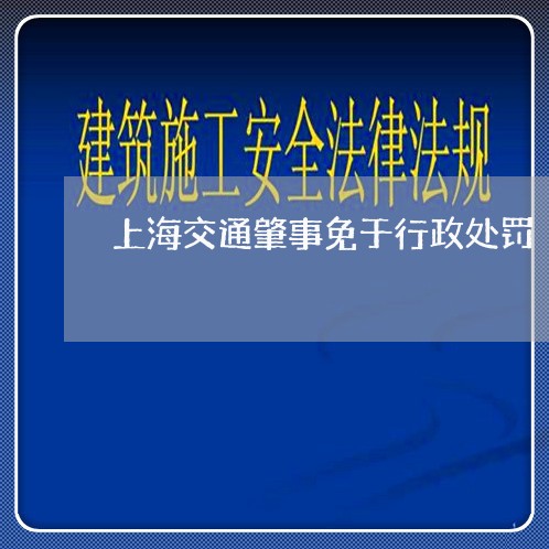 上海交通肇事免于行政处罚/2023033163938