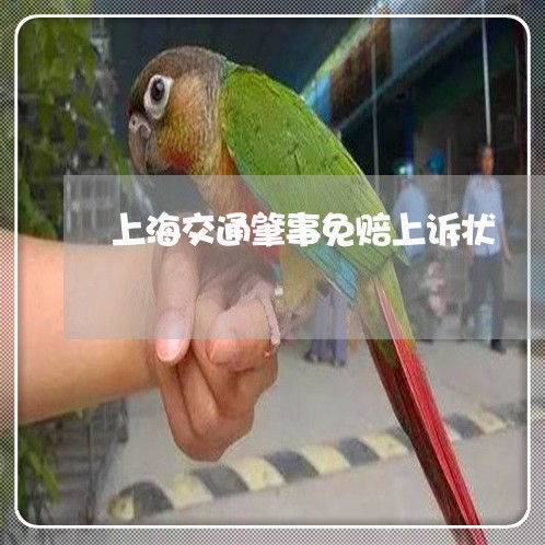 上海交通肇事免赔上诉状/2023022894725