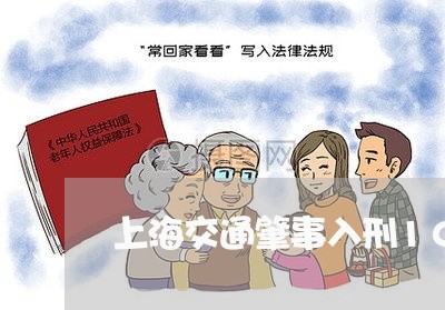 上海交通肇事入刑10周年/2023031835137 上海交通肇事入刑10周年/2023031835137