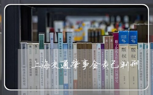 上海交通肇事全责己判刑/2023042295815