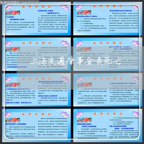 上海交通肇事全责死亡/2023021216037 上海交通肇事全责死亡/2023021216037