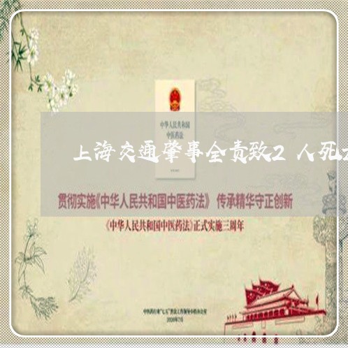 上海交通肇事全责致2人死亡/2023033115041 上海交通肇事全责致2人死亡/2023033115041
