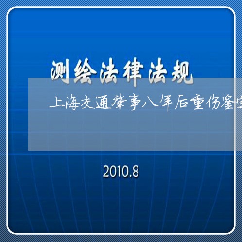 上海交通肇事八年后重伤鉴定/2023033152260 上海交通肇事八年后重伤鉴定/2023033152260