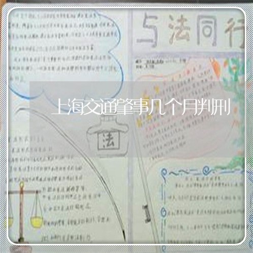上海交通肇事几个月判刑/2023022848281 上海交通肇事几个月判刑/2023022848281
