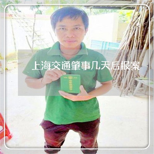 上海交通肇事几天后报案/2023022815268