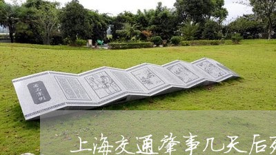 上海交通肇事几天后死亡/2023042293915