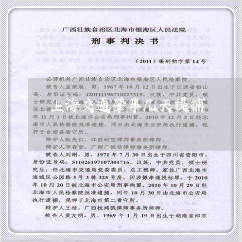 上海交通肇事几天提捕/2023021251593 上海交通肇事几天提捕/2023021251593