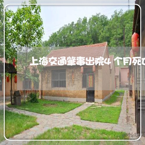 上海交通肇事出院4个月死亡/2023033107282