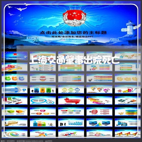 上海交通肇事出院死亡/2023021239560 上海交通肇事出院死亡/2023021239560