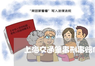 上海交通肇事刑事赔偿时效/2023031805816 上海交通肇事刑事赔偿时效/2023031805816