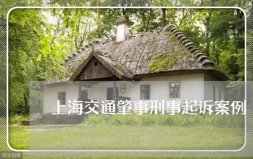 上海交通肇事刑事起诉案例/2023033107341 上海交通肇事刑事起诉案例/2023033107341