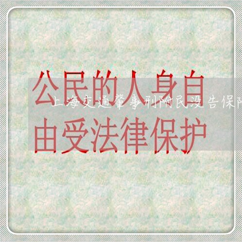 上海交通肇事刑附民没告保险/2023033106958