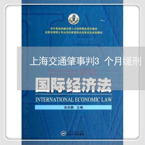 上海交通肇事判3个月缓刑/2023031916837 上海交通肇事判3个月缓刑/2023031916837