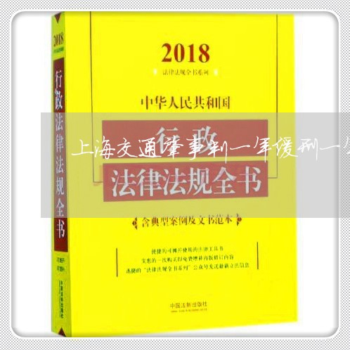 上海交通肇事判一年缓刑一年/2023033116171