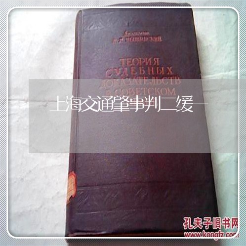 上海交通肇事判二缓一/2023021277460 上海交通肇事判二缓一/2023021277460