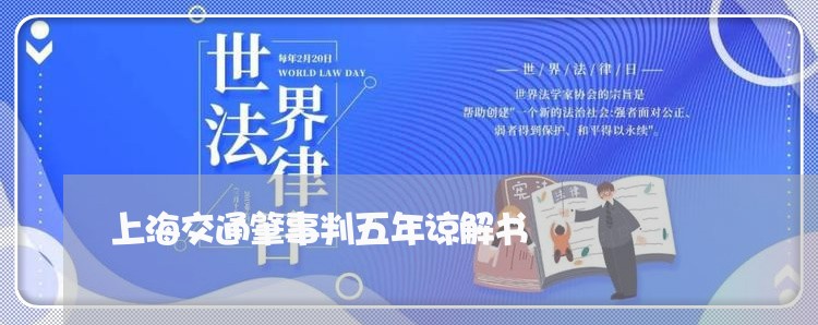 上海交通肇事判五年谅解书/2023031954481 上海交通肇事判五年谅解书/2023031954481